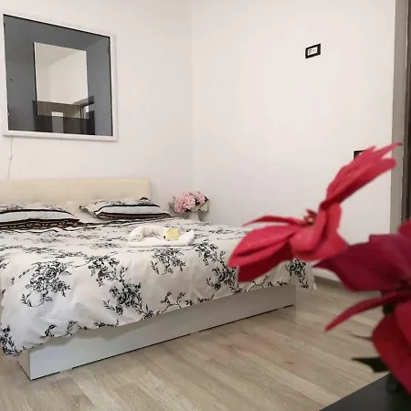 公寓 Apartament Plaja Modern Centru Vechi Langa Mare 康斯坦察