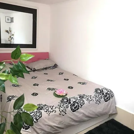 Apartament Plaja Modern Centru Vechi Langa Mare 公寓 康斯坦察